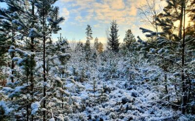 Hållbara naturupplevelser